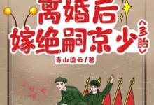 求七零大院:离婚后嫁绝嗣京少多胎小说免费资源-有书评