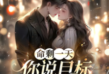 小说完整版《命剩一天,你说目标错了得重来?》免费阅读-有书评