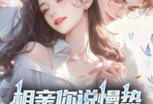 《相亲你说慢热,我放弃你哭啥?》小说章节列表免费试读,丁歌小说在线阅读-有书评