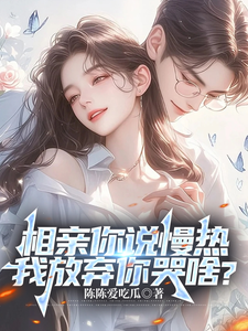《相亲你说慢热，我放弃你哭啥？》小说章节列表免费试读，丁歌小说在线阅读
