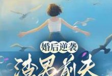 求婚后逆袭:渣男前夫滚远点!小说免费资源-有书评