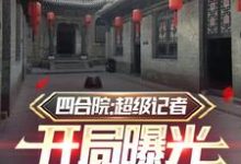 《四合院：超级记者开局曝光易忠海》完整版小说免费阅读-有书评