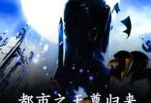 《都市之天尊归来》王宁完整版小说免费阅读-有书评