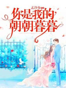 你是我的朝朝暮暮阮柠夏靳斯承小说大结局免费试读