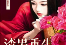 免费在线阅读男渣穿女，我佛系了小说的正规网站有哪些？-有书评