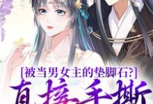 被当男女主的垫脚石?直接手撕剧本免费阅读,被当男女主的垫脚石?直接手撕剧本章节目录-有书评