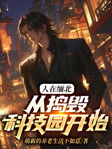 人在缅北，从捣毁科技园开始完整版小说，人在缅北，从捣毁科技园开始最新章节