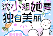 渣公快滚,沈小姐她要独自美丽蒋九司沈星安小说免费阅读-有书评