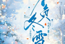 不负冬雪(沈砚冬徐盏雪)完整版在线免费阅读-有书评