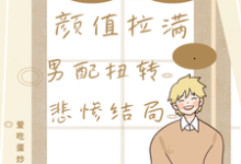在线免费阅读快穿颜值拉满，男配扭转悲惨结局完整小说-有书评