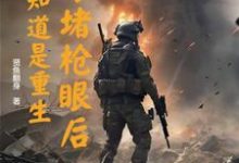 魏麟懿小说《以身堵枪眼后,才知道是重生》在线阅读-有书评