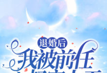 已完结小说《退婚后,我被前任小叔宠上天》章节免费阅读-有书评