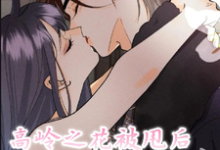 完结版《高岭之花被甩后,他疯了!》章节阅读-有书评