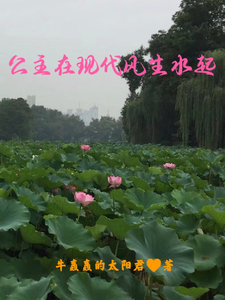 公主在现代风生水起最新章节，公主在现代风生水起免费阅读
