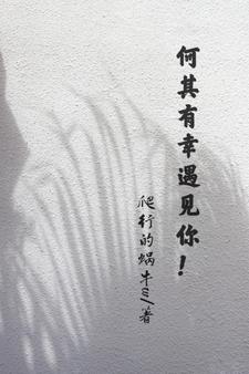 周以安林默小说完结版在线阅读，何其有幸遇见你！免费看