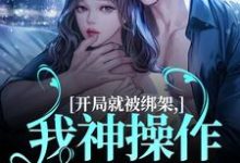 求开局就被绑架，我神操作自救成功小说免费资源-有书评