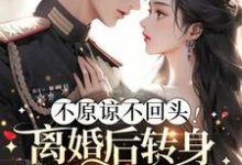 不原谅不回头！离婚后转身嫁霸道军官小说的免费阅读版本在哪里可以找到？-有书评