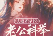 在线寻找夫妻齐穿书！老公科举我躺赢！小说的无删减版本-有书评