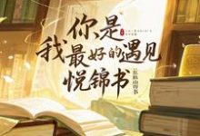 你，是我最好的遇见小说完结了吗？在哪里可以免费读到？-有书评