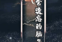《经常遗忘的脑子》全集免费在线阅读(陈森冷奇瑞)-有书评