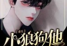 【重生】小狼狗他每天都想自投罗网小说完结版章节免费阅读-有书评