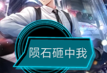 李小武小说陨石砸中我完整版阅读-有书评
