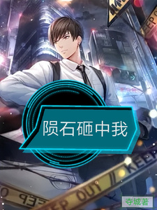 李小武小说陨石砸中我完整版阅读