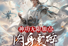 《神功无限加点!肉身震碎诸天万界》小说章节列表免费试读,方阳小说在线阅读-有书评