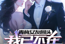 青梅女友回头,我已不在原地等她小说全文哪里可以免费看?-有书评