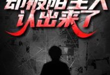 出狱后打零工，却被陌生人认出来了小说完结了吗？在哪里可以免费读到？-有书评