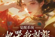 觉醒系统:她哭我就能获得灵力陆羽上官玉凰小说大结局免费试读-有书评