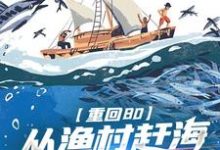 《重回80：从渔村赶海到纵横大洋》小说林宇章节章节免费在线阅读-有书评
