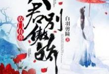 农门有喜:夫君别傲娇这本小说在哪里可以看?哪里有免费试读章节?-有书评