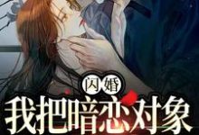 闪婚,我把暗恋对象抱回了家小说完结了吗?在哪里可以免费读到?-有书评