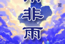 雨非雨小说的最新章节在哪里更新？免费追踪阅读-有书评