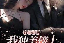 竹马出轨，我独美傍上豪门老公沈嘉音小说在线章节免费阅读-有书评