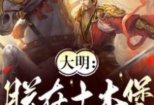 大明：朕在土木堡杀疯了小说完结了吗？在哪里可以免费读到？-有书评