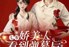 司念贺清宴完整版小说《七零娇美人看到弹幕后，改嫁军官》免费阅读-有书评