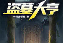 《盗墓大亨》小说免费阅读完整版-有书评