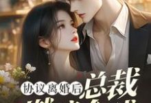 在线免费阅读协议离婚后，总裁燃遍全球完整小说-有书评