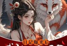哪里能找到日记曝光后我被四个侯爷盯上了小说的最新更新和免费章节?-有书评