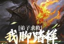 魏青山小说《弟子求救，我脚踏祥云开大招》在线阅读-有书评