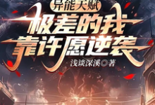 完结版《异能天赋极差的我靠许愿逆袭》章节阅读-有书评