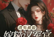 哪里能找到渣男被抢,嫁糙汉军官养崽躺赢小说的全部章节?-有书评
