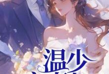 温少宠宠妻上天这本小说完结了吗？免费查看最新章节-有书评