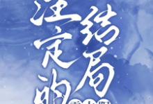 注定的结局,雪太阳小说最新章节在哪里可以读到?-有书评
