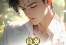 小说《最强兵魂王者》章节免费阅读-有书评