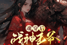 魂穿后,战神王爷非我不娶小说全文哪里可以免费看?-有书评