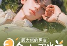 小说《顾大佬的男友是个小蛋糕》在线章节阅读-有书评