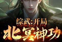 综武：开局北冥神功，获万年内力朱文轩在线章节免费阅读-有书评